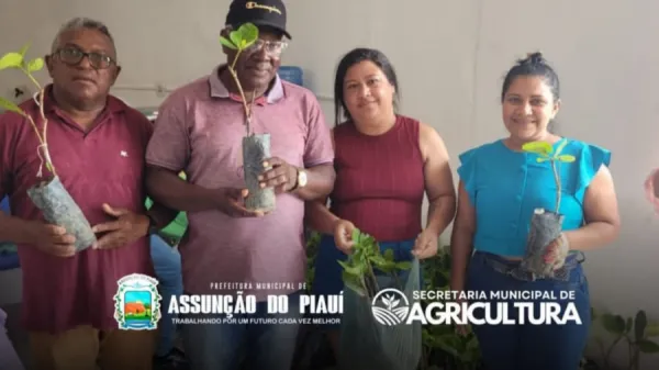 Assunção do Piauí recebe mil mudas de caju para fortalecer a agricultura familiar
